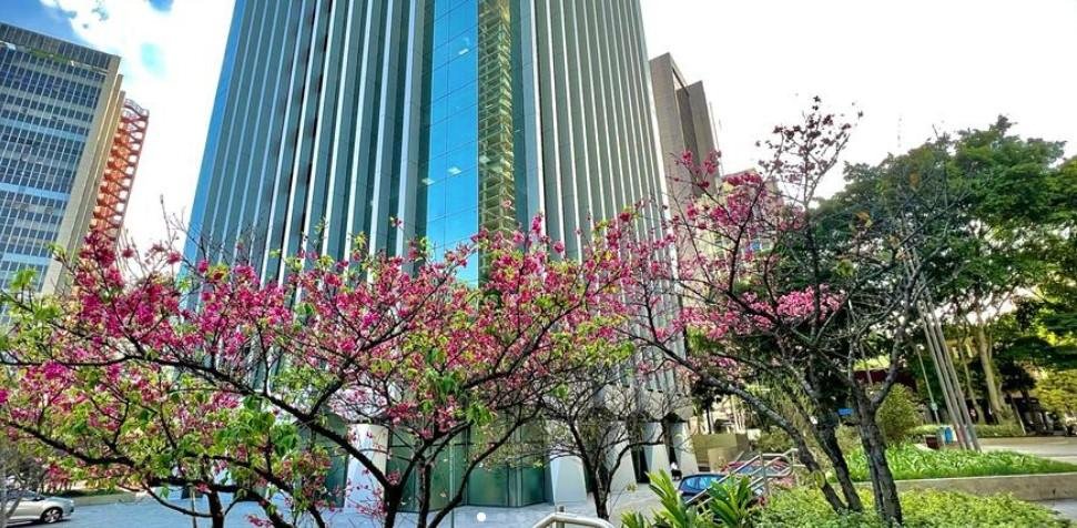 (CEMG) Centro Empresarial Mario Garnero – TORRE SUL – Faria Lima, escritório corporativo — foto 4