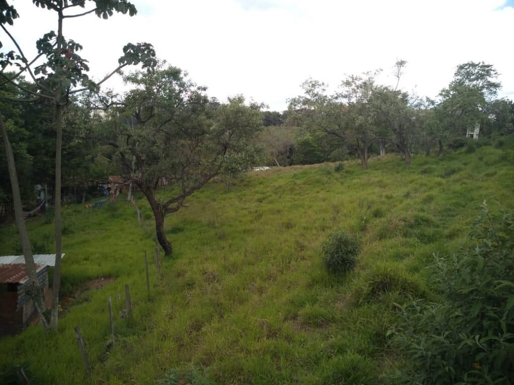 Terreno em Barueri/sp – 34.000 M² – Jardim Paulista, terreno — foto 5