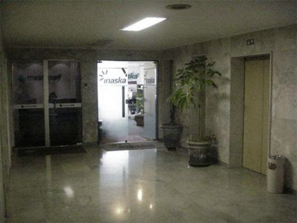 Foto do Francisco Lopes