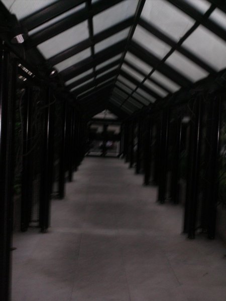 GT Plaza - Consolidated Commodore – Jardim Promissão, São Paulo (foto 4)