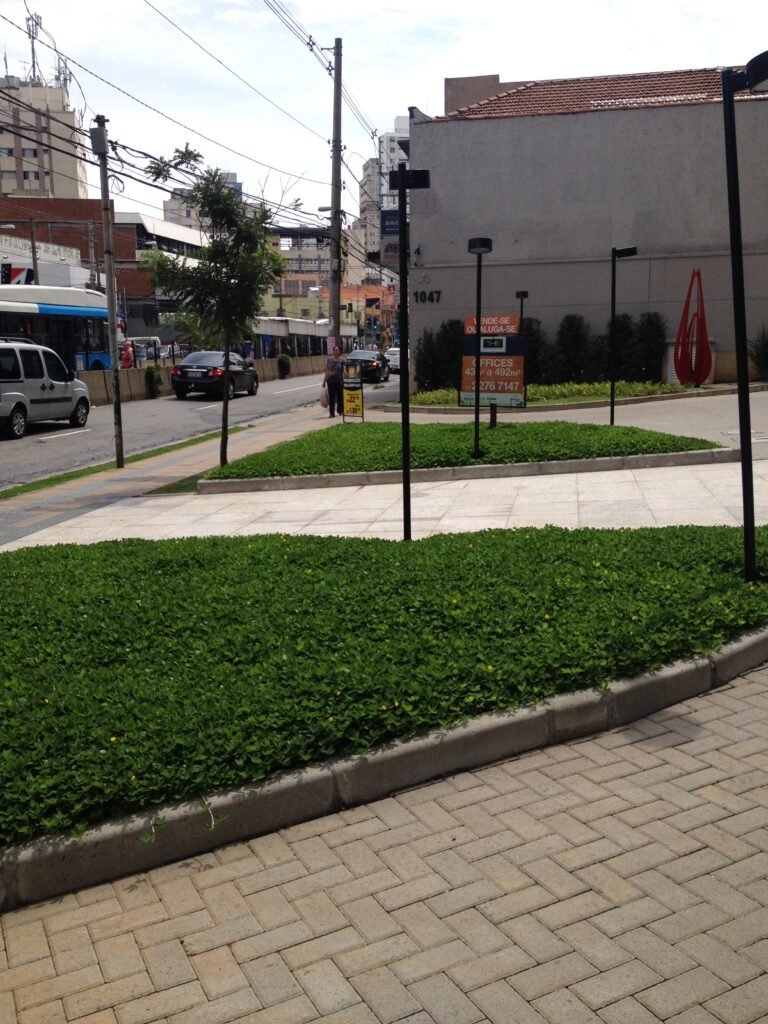 The Vila Nova Conceição Office, São Paulo (foto 6)