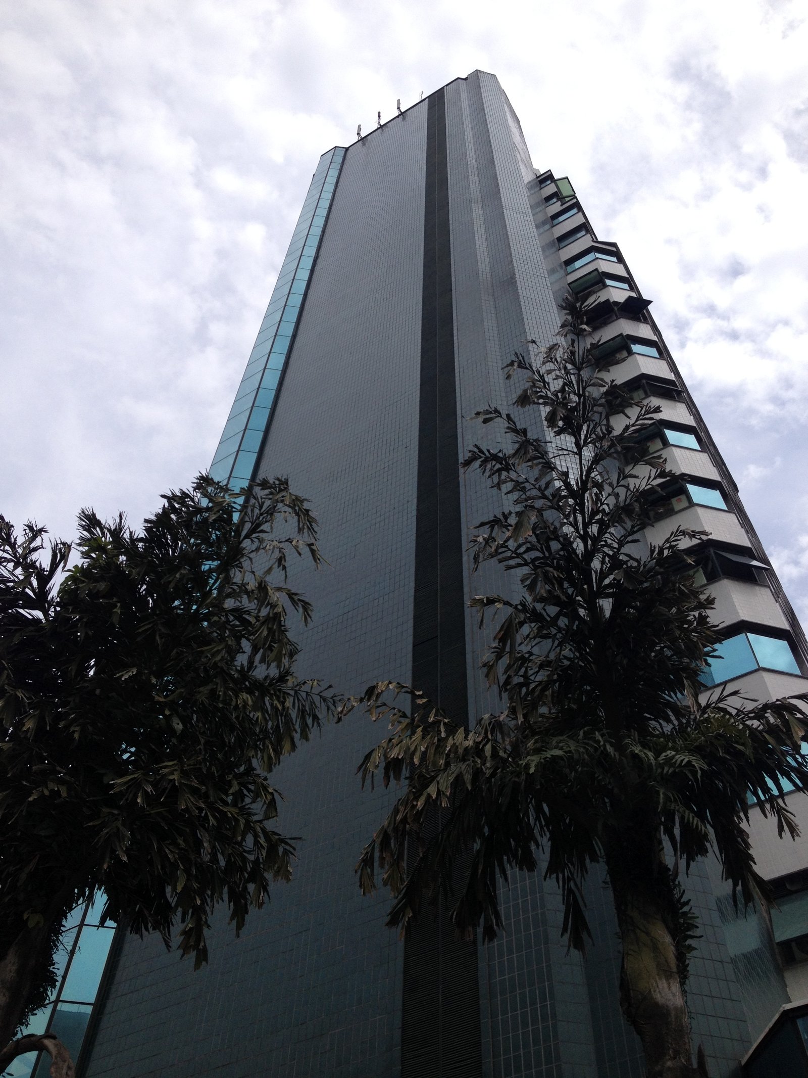 Foto do Work Place Funchal