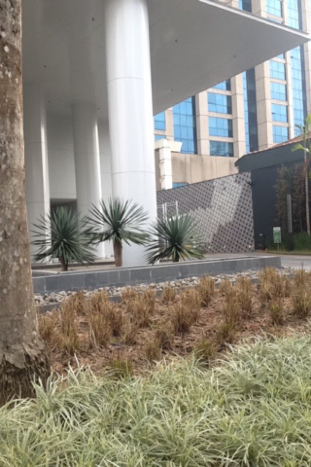 Foto do Lead Offices Faria Lima