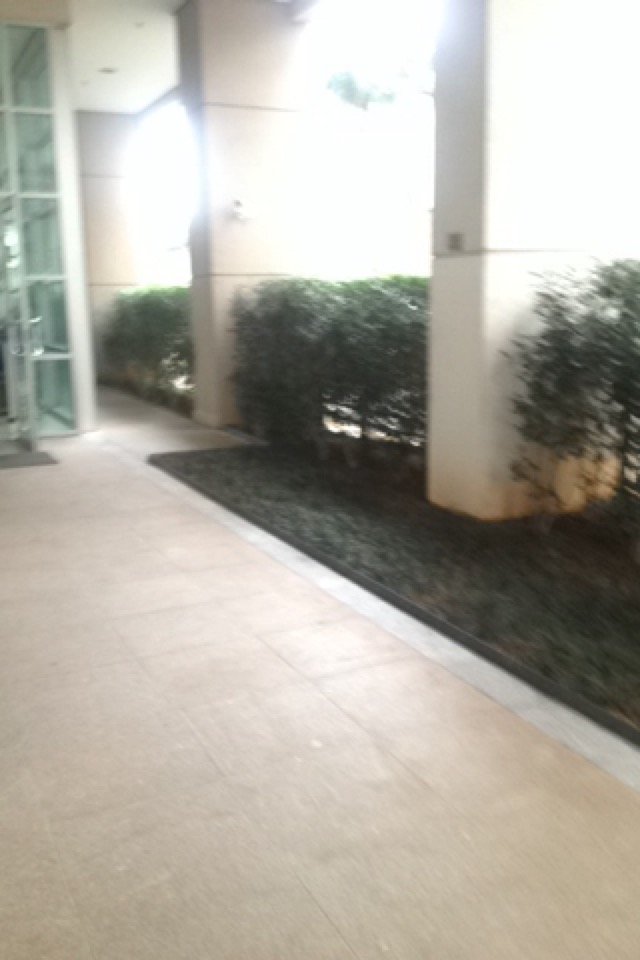 Supéria Paraíso, São Paulo (foto 6)