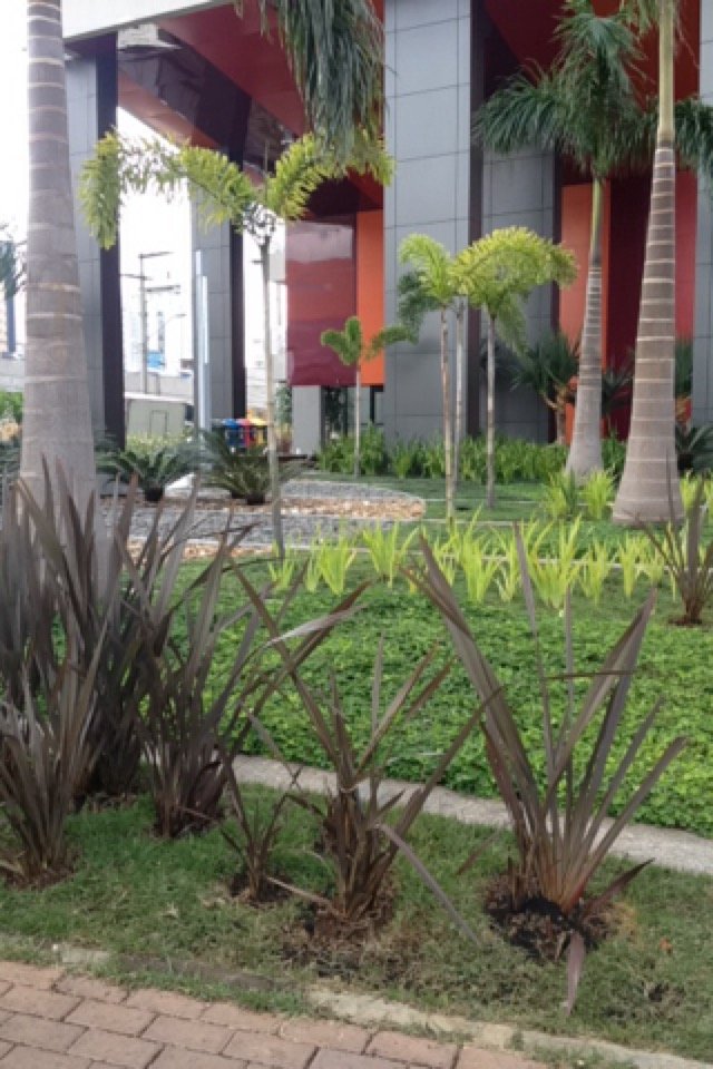 Bráz Leme Offices – Vila Baruel, São Paulo (foto 5)