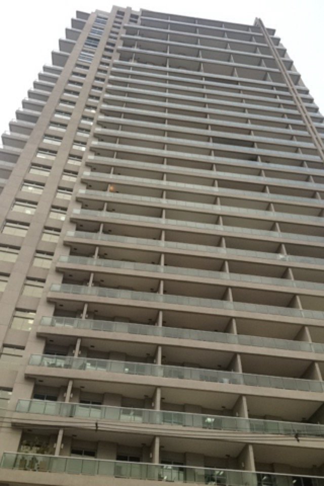 Capital Corporate Offices – Santo Amaro, São Paulo (foto 4)