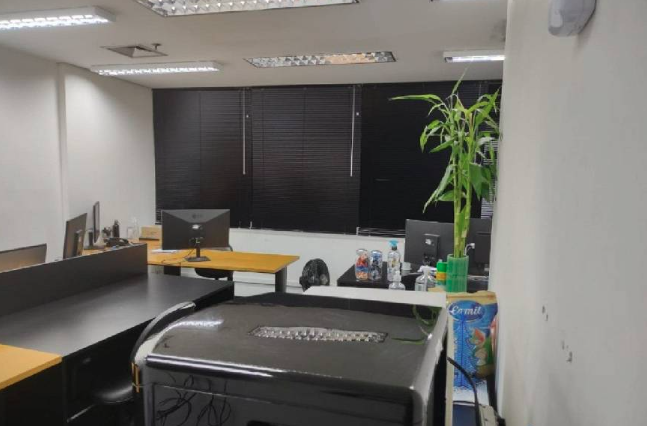 Ipiranga Offices, São Paulo (foto 2)