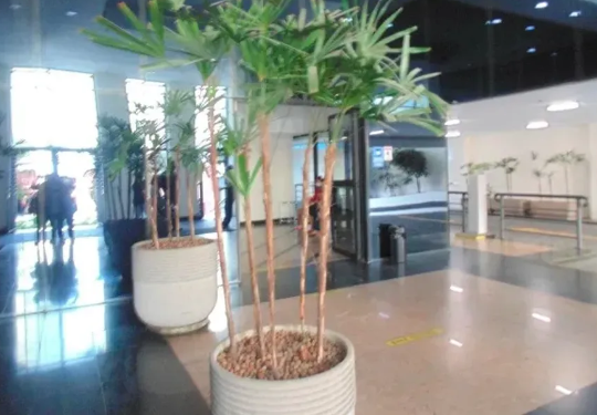 Torre da Roma – Torre B